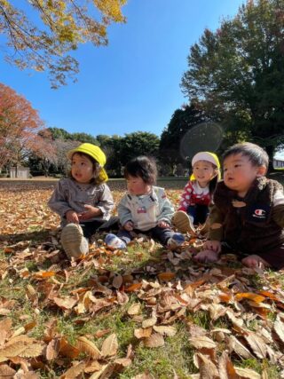 ポカポカ秋晴れ☀